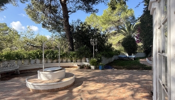 Resa Estates for sale te koop project Cala Tarida Ibiza pool patio trees.jpeg